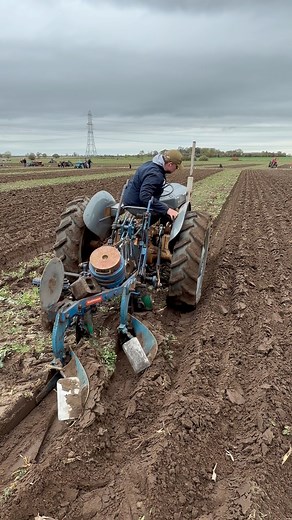 Sam Watkins doing a fantastic job ploughing with his Ferguson FE35 gold belly tractor and a Ransomes plough. Competing at the @Sturton By Stow Annual ploughing match | Pro Horizon Farming Content