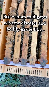 1.4M views · 4.8K reactions | The queen lays 2k+ eggs per day. It...