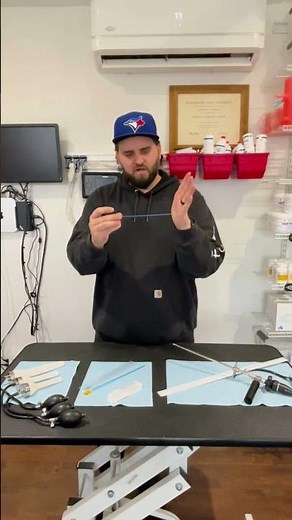 Artificial Insemination for Dogs | Part 2 🐶 #dog #canine #reproduction #breeding #breeders #breeder