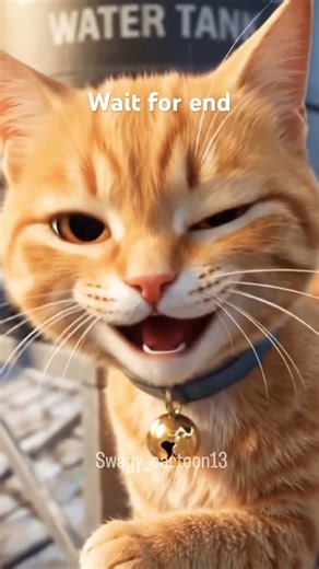 CAT REVENGE 😂 #shorts