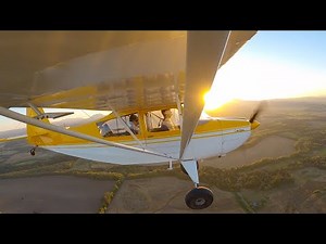 Grass Landings in a Citabria 7ECA