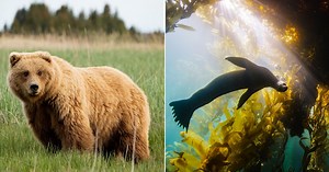 New Season of 'America's National Parks' Uses Advanced Camera Tech