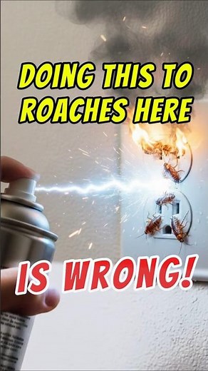 🪳✅ How to Safely Kill Roaches in Outlets | Getting Rid of Cockroaches