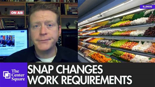 SNAP changes work requirements Sunday as Illinois' error rate doubles in 10 years