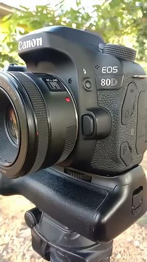 Canon 80D