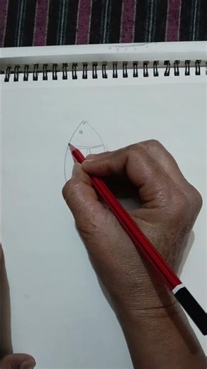 #easy fish drawing for beginners