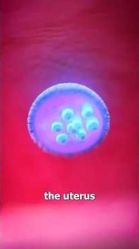 How Conception Works 👶Surgeon Reacts