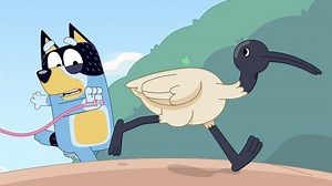 Bluey S01E50 - Shaun