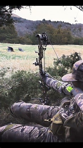 TPP Mode Activated… One Shot One Tom 🦃🎯💥 #turkeyhunting #archery #gobblerhunting #bowhunting