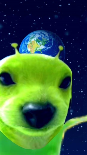 alien dog in possession bible pt. 3 🔥🔥🔥 link into the description www/youtube.com/watch?khjl