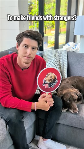 Nulo Canada on Instagram: "Life’s big questions 🐕 Fueled by @NuloCanada #NuloPartner #PetFoodMeetsPerformance #FuelIncredible"