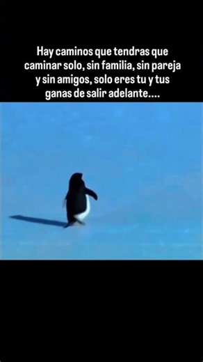 Hay caminos que debes recorrer solo | Motivación para salir adelante