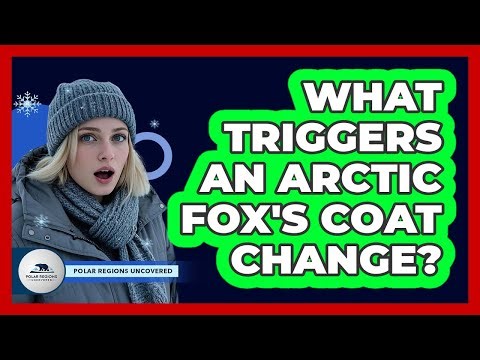 What Triggers An Arctic Fox's Coat Change?