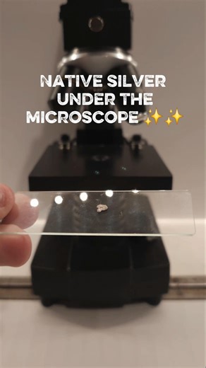 Microscopic observation of a native piece of silver #microscope #science #experiment