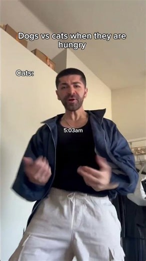 Dogs vs cats when they are hungry. #shorts #skit #funny