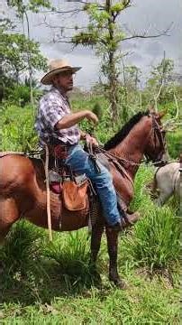 MEJORANDO LABOR DE FUMIGACION