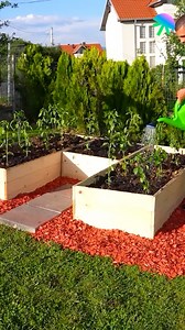 Transform your summer garden with this exquisite wooden design | Genius Club