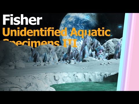 Unidentified Aquatic Specimens III - Gold Stars (Sinus Ardorum)