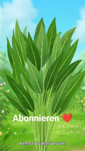 „Salbei ist eine Heilpflanze und gut für den Hals! 😲“ kennst du den Geruch?