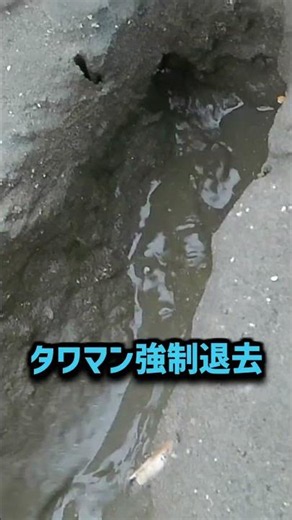 無料でこんなに楽しいゲームで遊べる！？