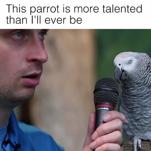 427K views · 2K reactions | This is AMAZING! - DJ Blitz | Virgin Radio Winnipeg | Facebook