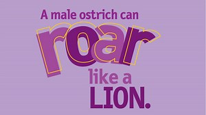 Weird But True!: Really Random