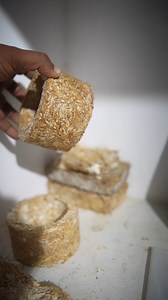 Bio Foam Under Microscope | HackerOm