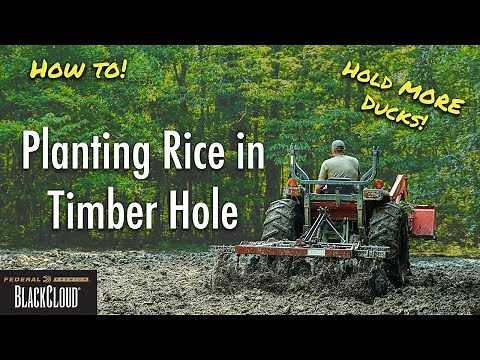 Planting FOOD FOR DUCKS in 3 Easy Steps! | Duck Food Plots with Minimal Equipment | Rusty Creasey
