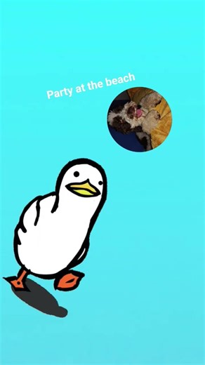 party at the beach 🏖️