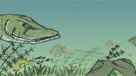 Upper St. Anthony lock closing after half a century; blame the carp