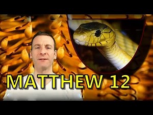 Matthew Chapter 12 Summary and What God Wants From Us