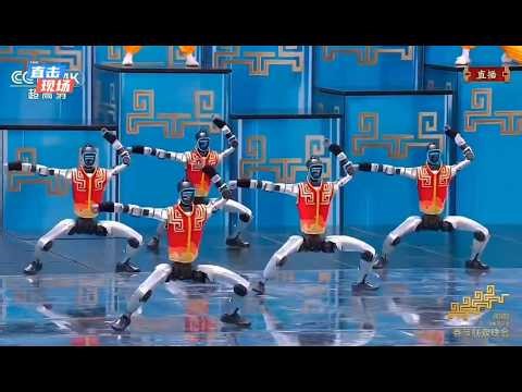 Kung Fu Robots Showcase Skills at Chinese Spring Festival 2026