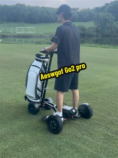 Go2 Pro: The 2-in-1 Electric Golf Scooter & Trolley for Flexibility