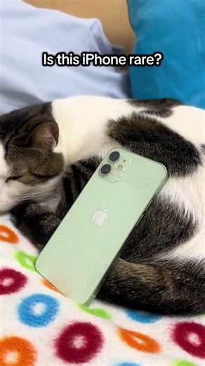 This iPhone 12 mini is really weird on iOS 16.3.1, and should I update it? It's because some apps are no longer available with iOS 16.3.1... let me know your opinion in the comments.