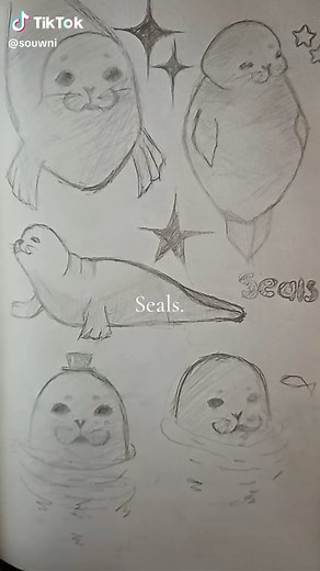 Easy Seal Drawing Tutorial | How to Draw Cute Seals Step by Step