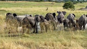 6.9K views · 194 reactions | What a beautiful view in front of Tawana earlier today! It doesn't get much more magical than this. | Natural Selection | Facebook