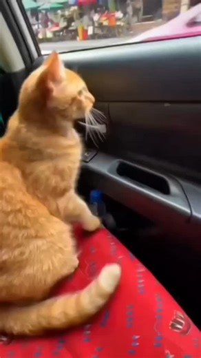 Private studio 🎀 | This is what slow creation looks like.🤭🤍 No machines. No copies.💗 Only hands shaping wire into flowers that last forever. . slow handmade... | Instagram