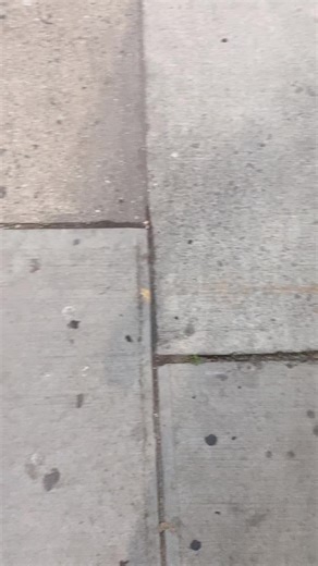 J Pro (@jpro.0)’s videos with original sound - J Pro