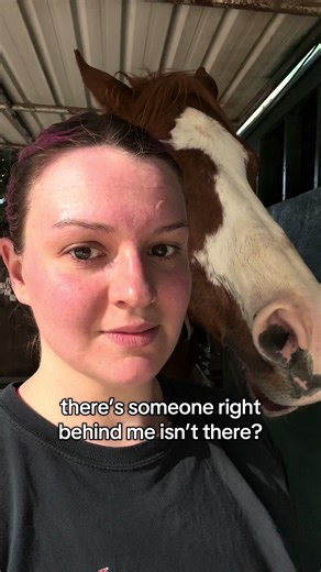 Sneaky horse!!!!! #lessonbarn | Horses Of TikTok