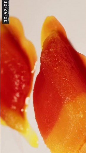 🍦 Melting Ice Cream – The Sweet Side of Decomposition 🍦