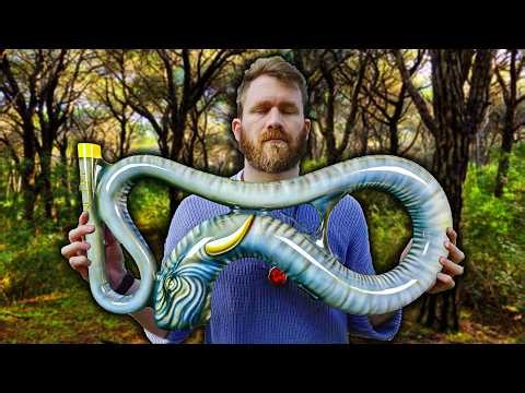 This Didgeridoo Sound Feels Like a SEDATIVE | 1 Hour Didgeridoo Music