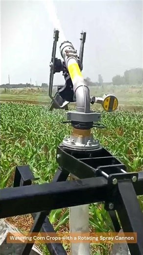 Watering Corn Crops with a Rotating Spray Cannon