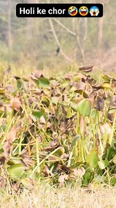 #caricature #digitalart #jobcaricatur #jobdescription #chatgptart #digitalcreator #caricatureart #trend #selfcaricature #chatgptprompts | Lalit Layger