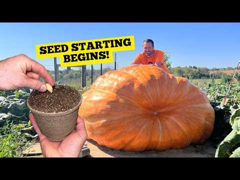 Giant Pumpkin Season Begins: Seed Starting & First Germinations