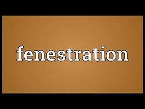Fenestration Meaning
