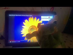 Baby Shakespeare Bard And Flower Remake