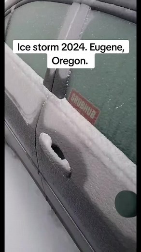 Eugene, Oregon Ice Storm 2024 | Frozen Solid, #icestorm