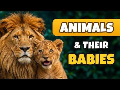 Animals and Their Babies for Kids! 🦁🐴 Baby Animal Names, Sounds & Quiz