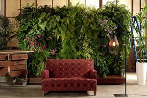 Jardines verticales: 9 Pasos cómo hacer un jardín vertical en casa y terraza | OVACEN