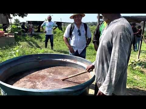 EM BENJAMIN CONSTANT, A VIDA SEMPRE RENASCE MAIS FORTE.